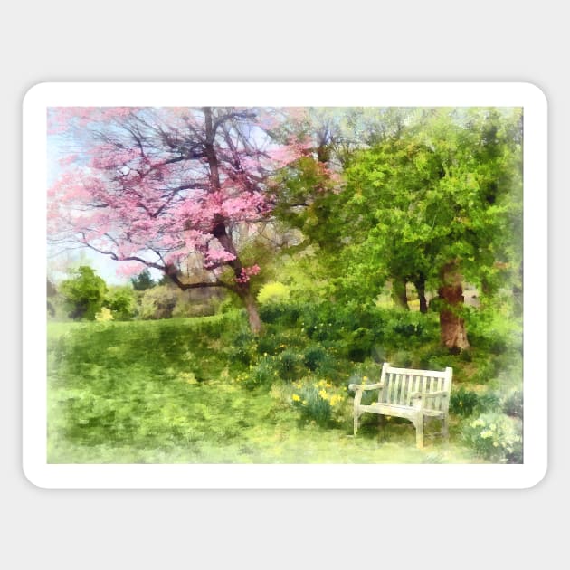 Spring - Daffodils by Bench Sticker by SusanSavad